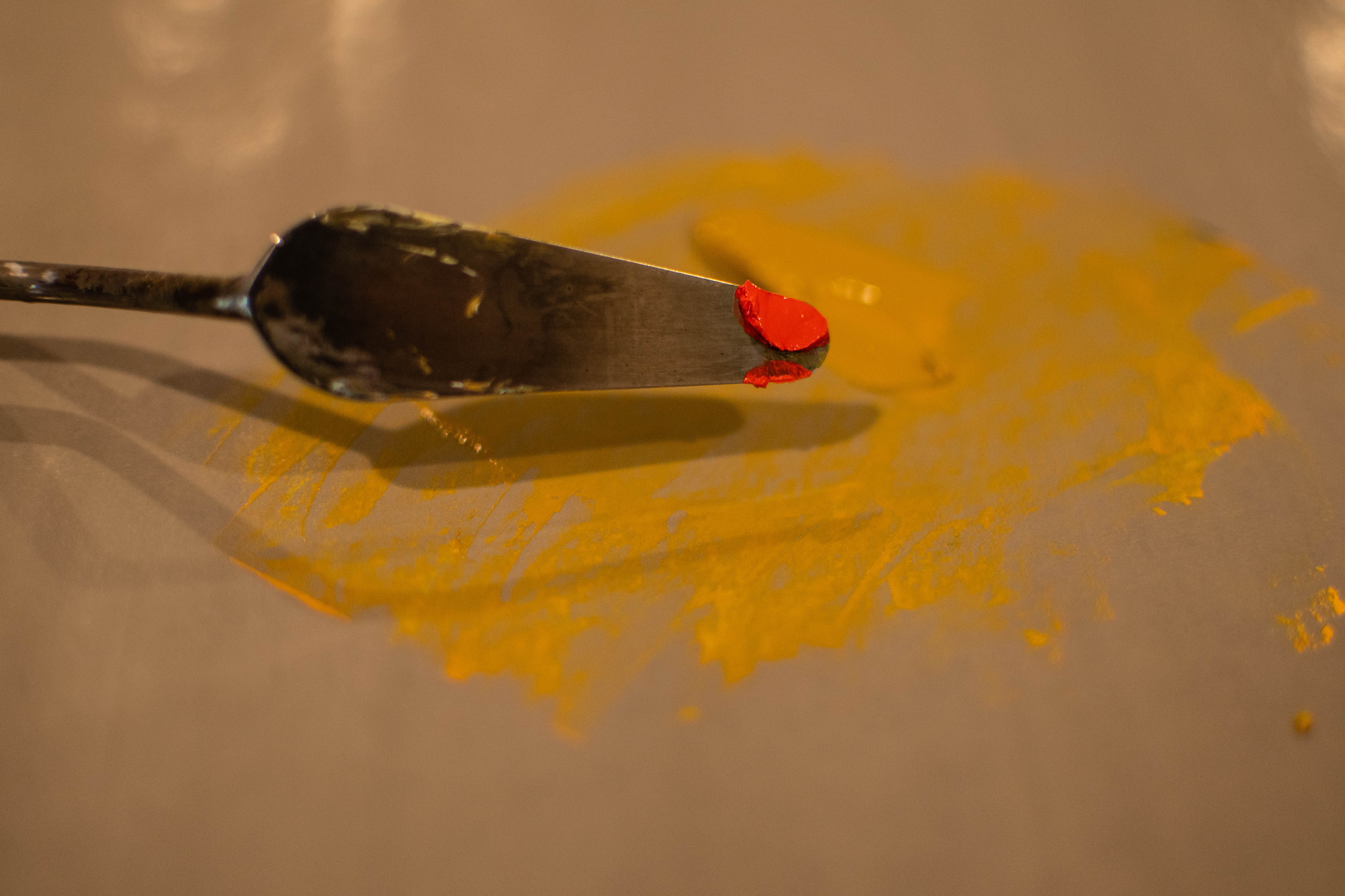 DSC_8639.jpg