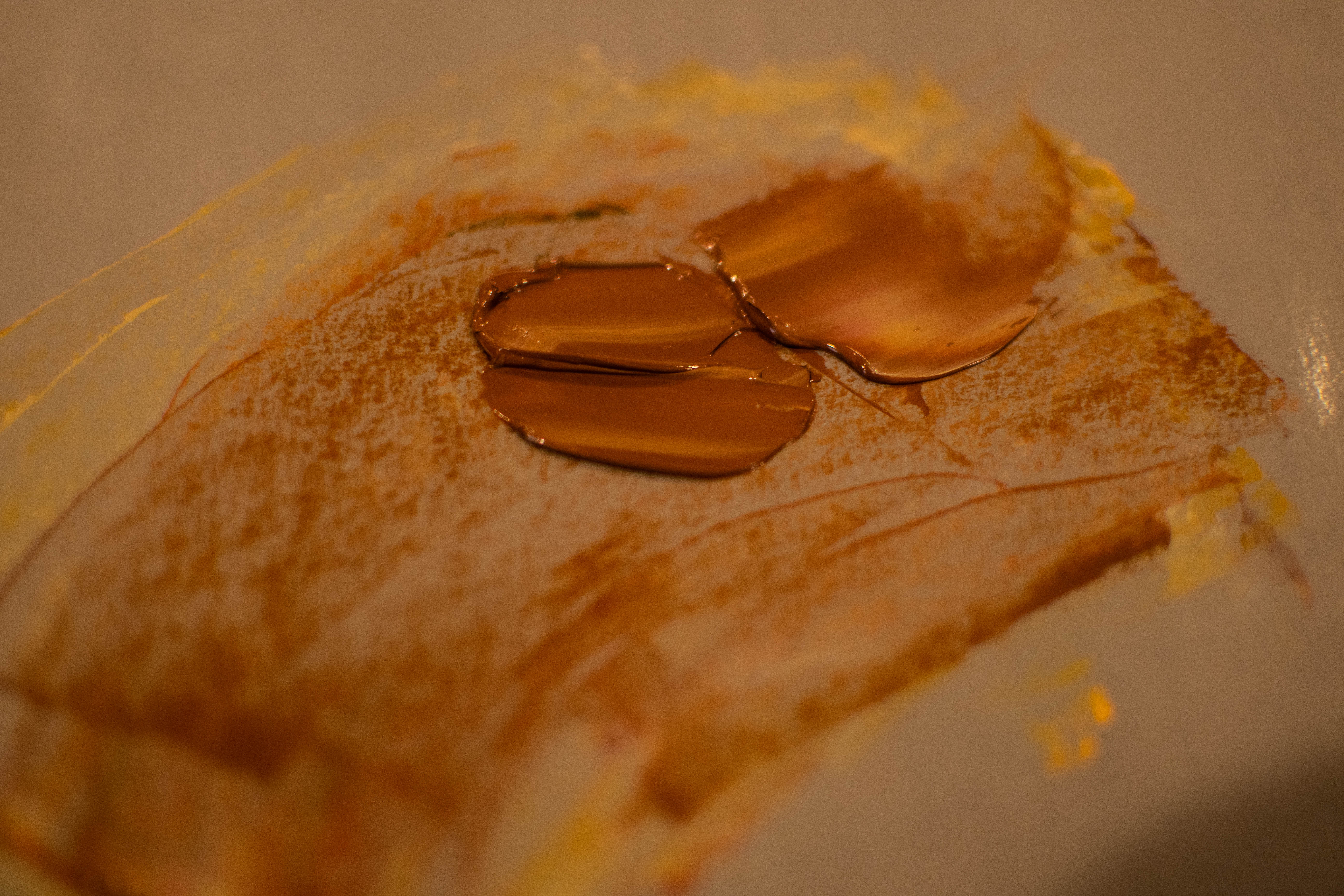 DSC_8644.jpg