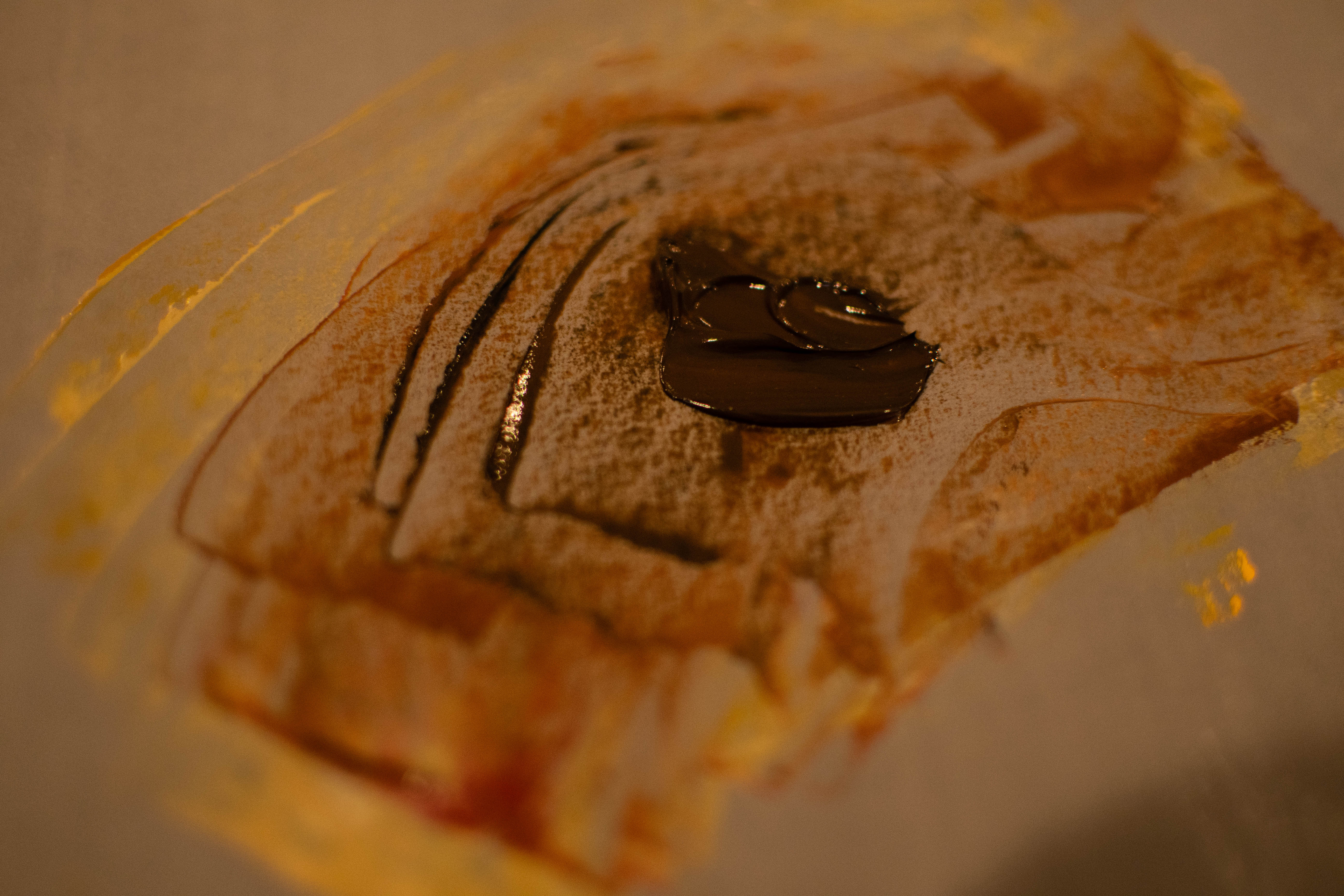 DSC_8646.jpg
