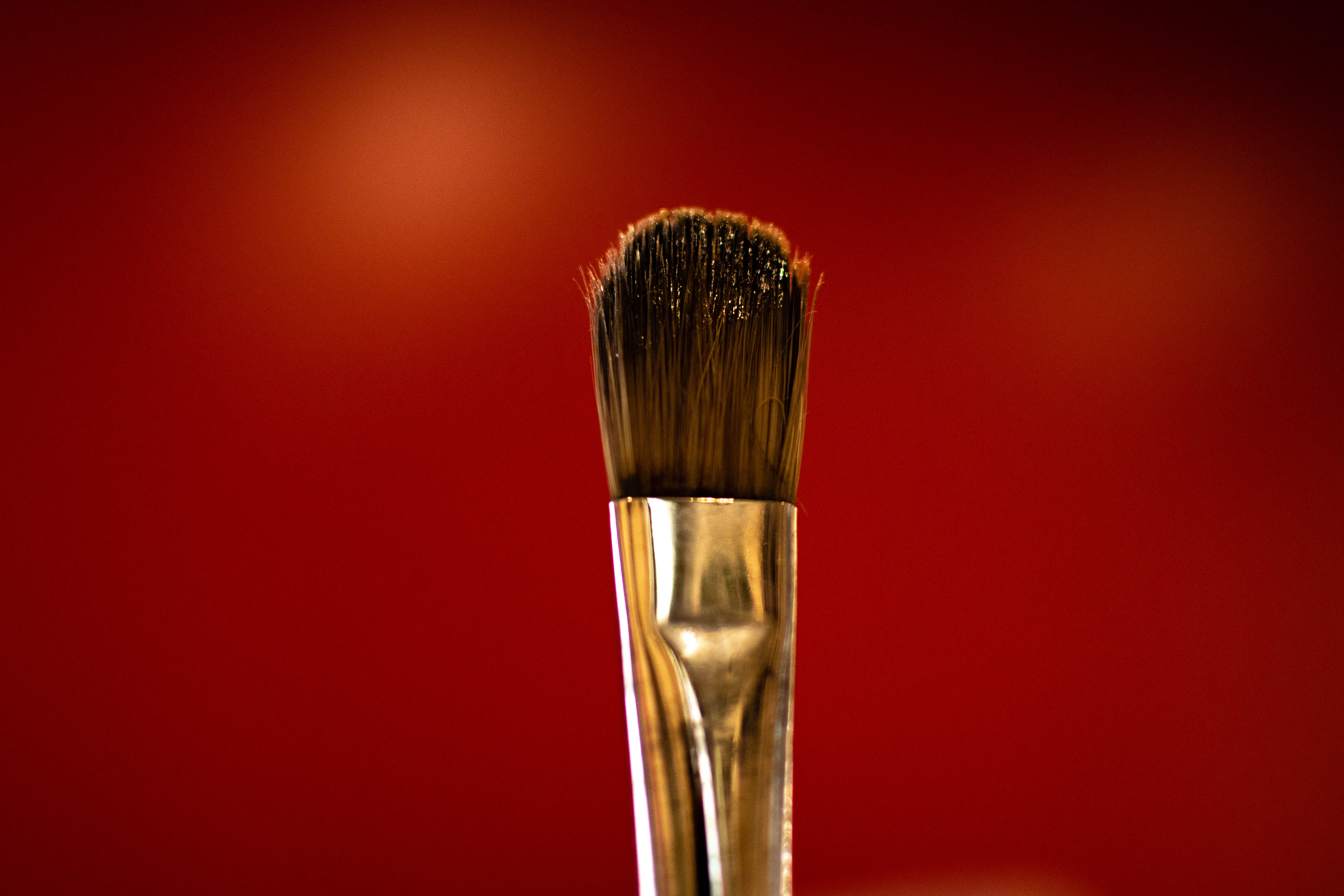 DSC_8695.jpg