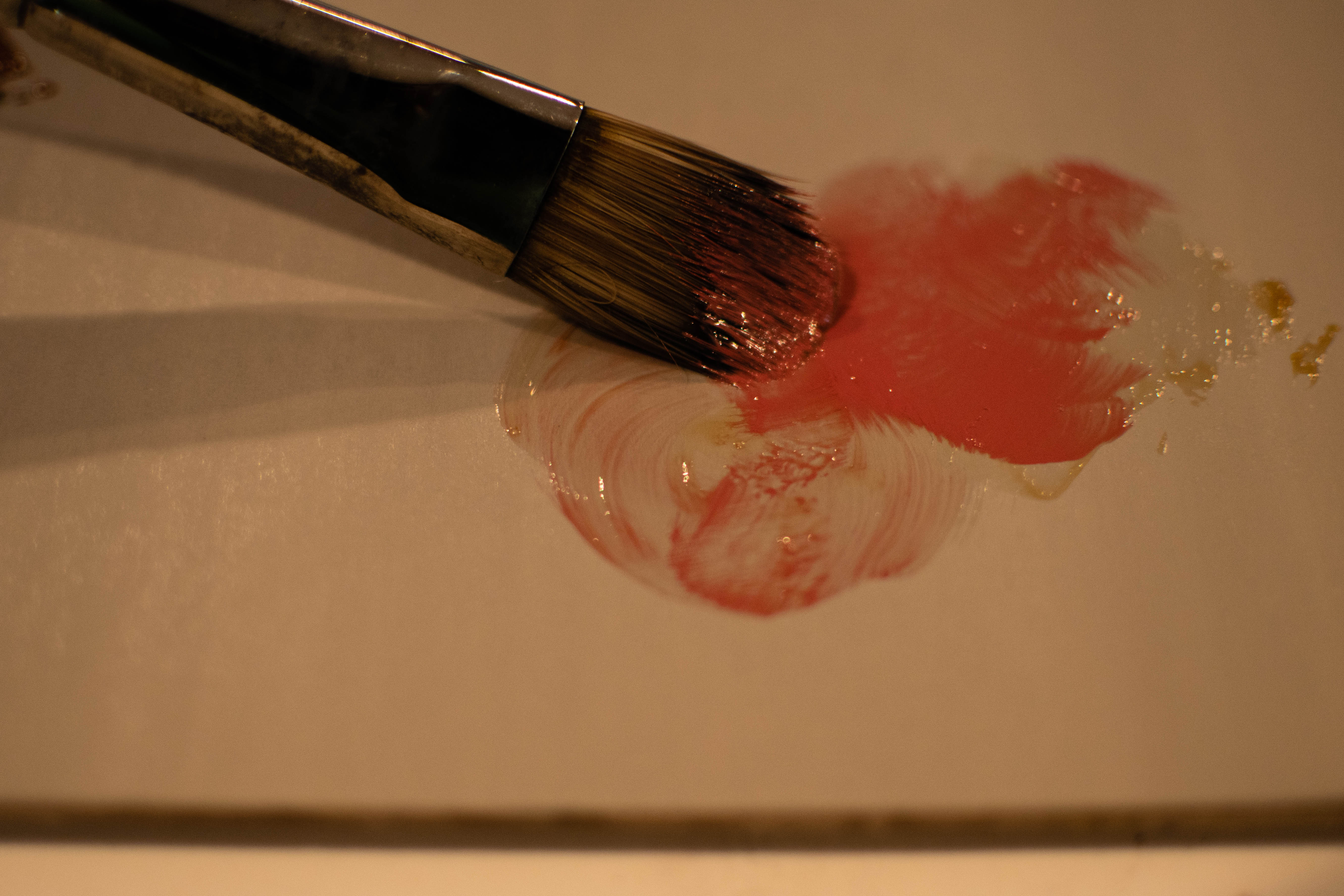 DSC_8699.jpg