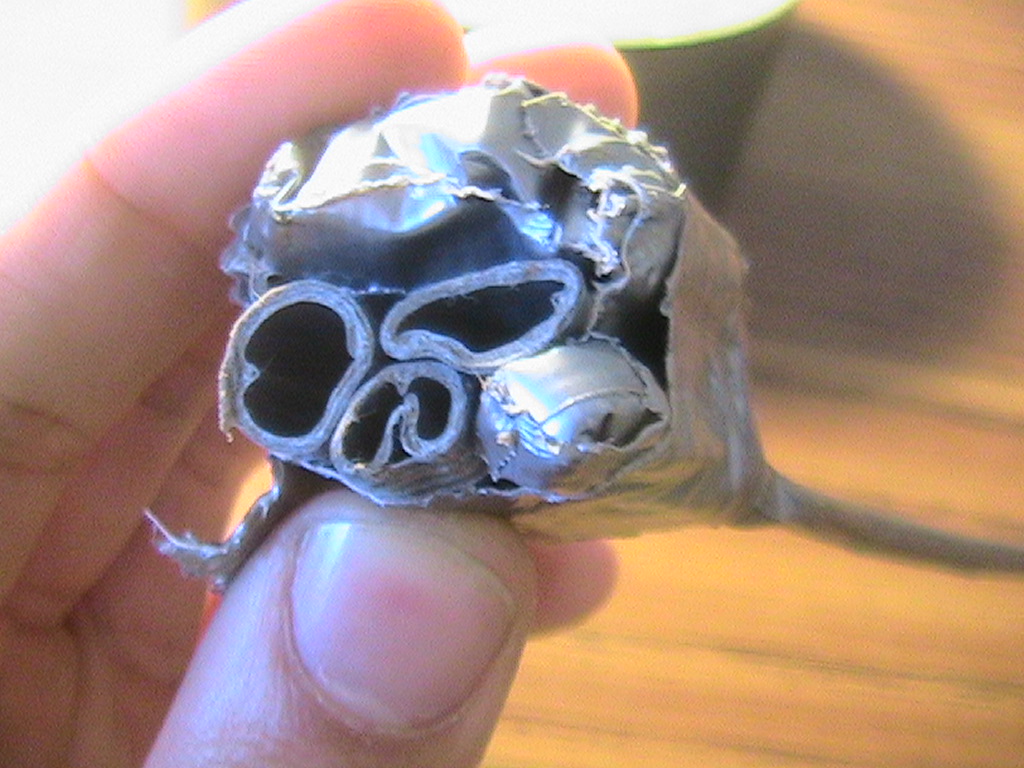 DT Skull 063.jpg