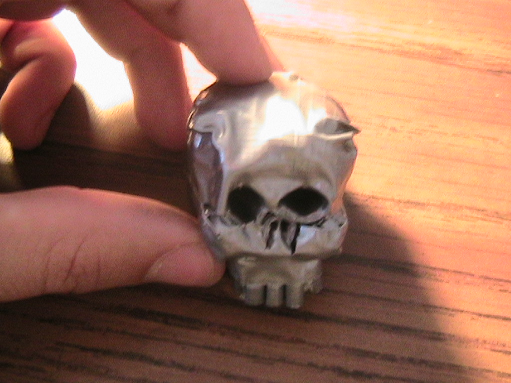 DT Skull 098.jpg