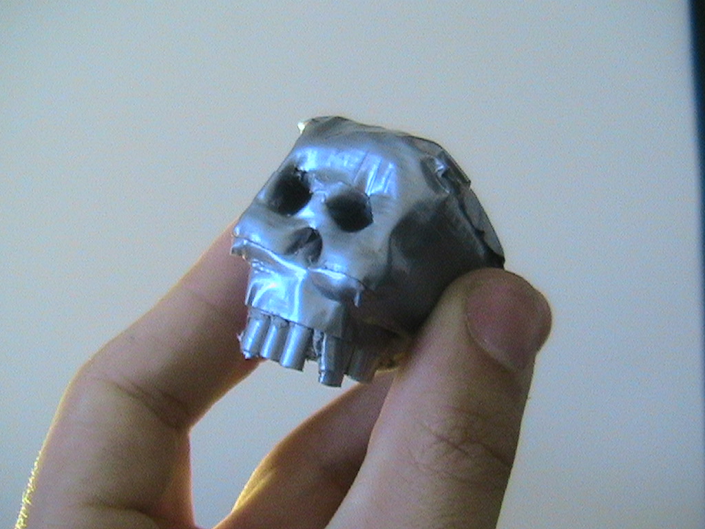 DT Skull 105.jpg