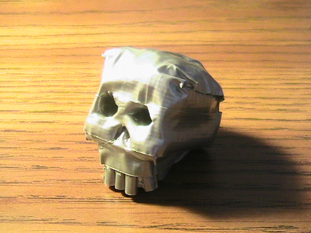 DT Skull 107.jpg