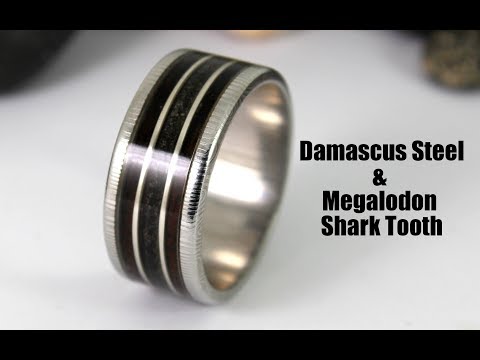 Damascus Steel Ring With Megalodon Shark Tooth &amp;amp; Wood Inlay (How To)