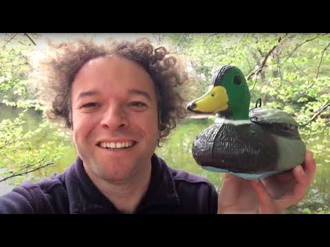 Dave the RC Duck - Make One This Weekend!