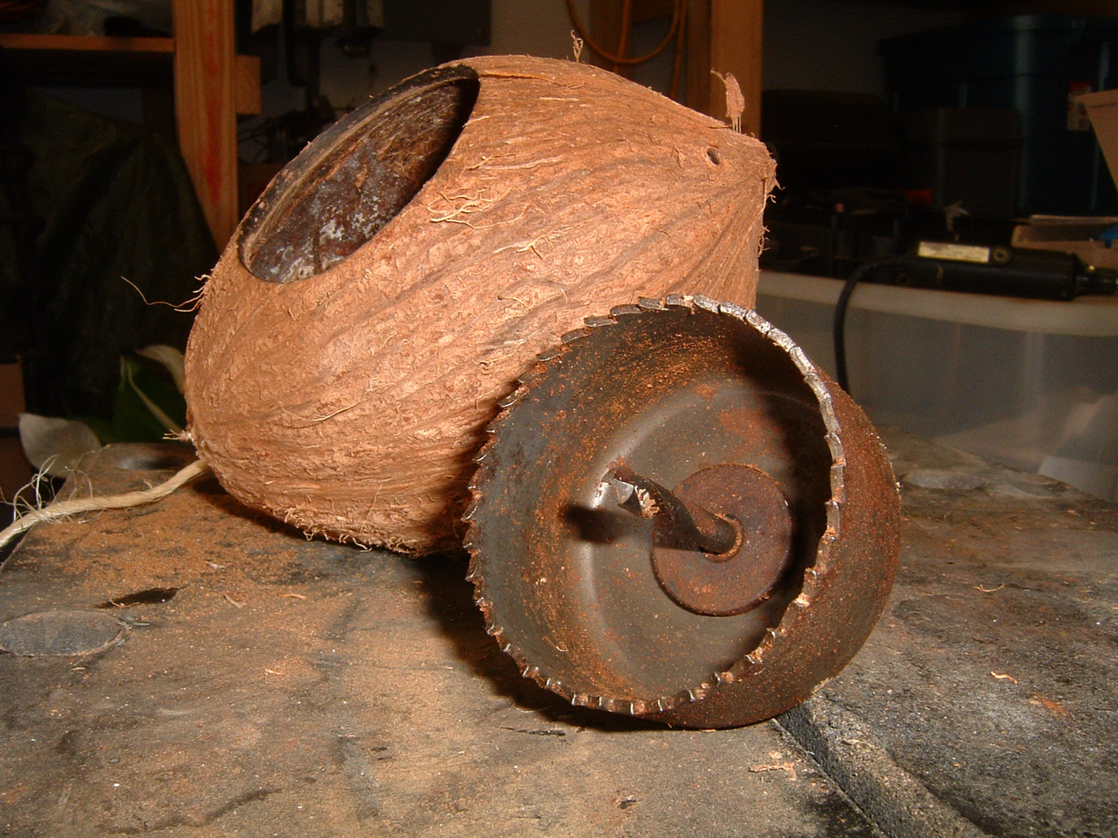 Day 273 - Project Coconut Birdhouse 01.JPG