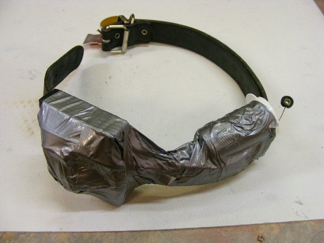 Deaf Dog 39 final collar.jpg