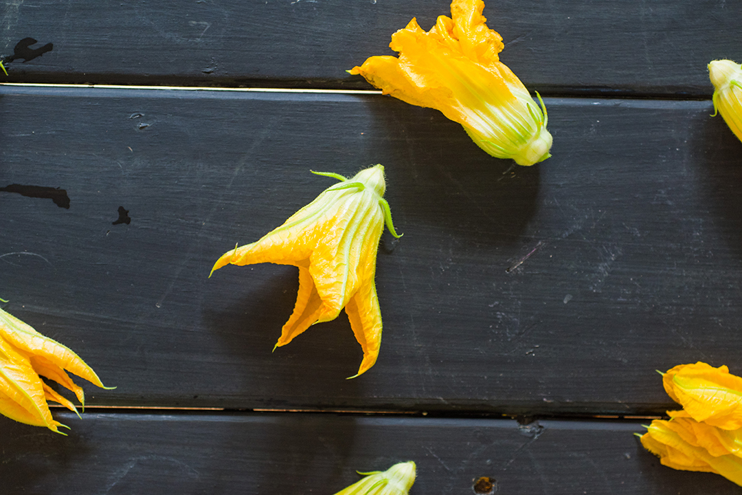 Deep Fried Squash Blossom_Resize (1).jpg