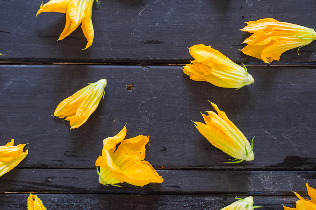 Deep Fried Squash Blossom_Resize (15).jpg