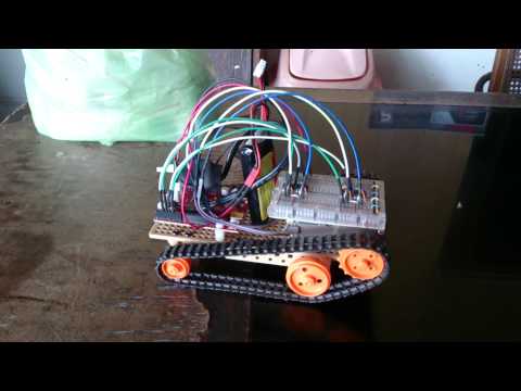 Demo Use of 555 Timer ICs to Drive DC Motors