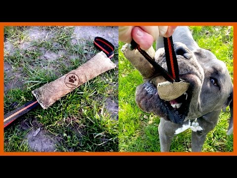 DiY Pull Dog Toy