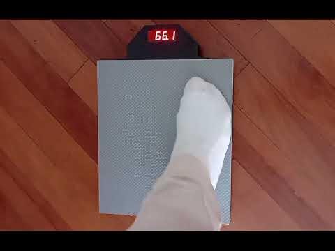 Digital scale demo