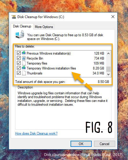 Disk Cleanup Window check marks.JPG