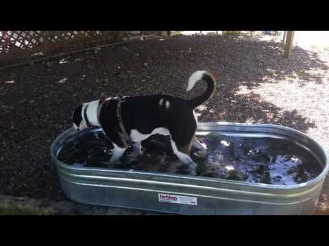 Doctor gets his pool!