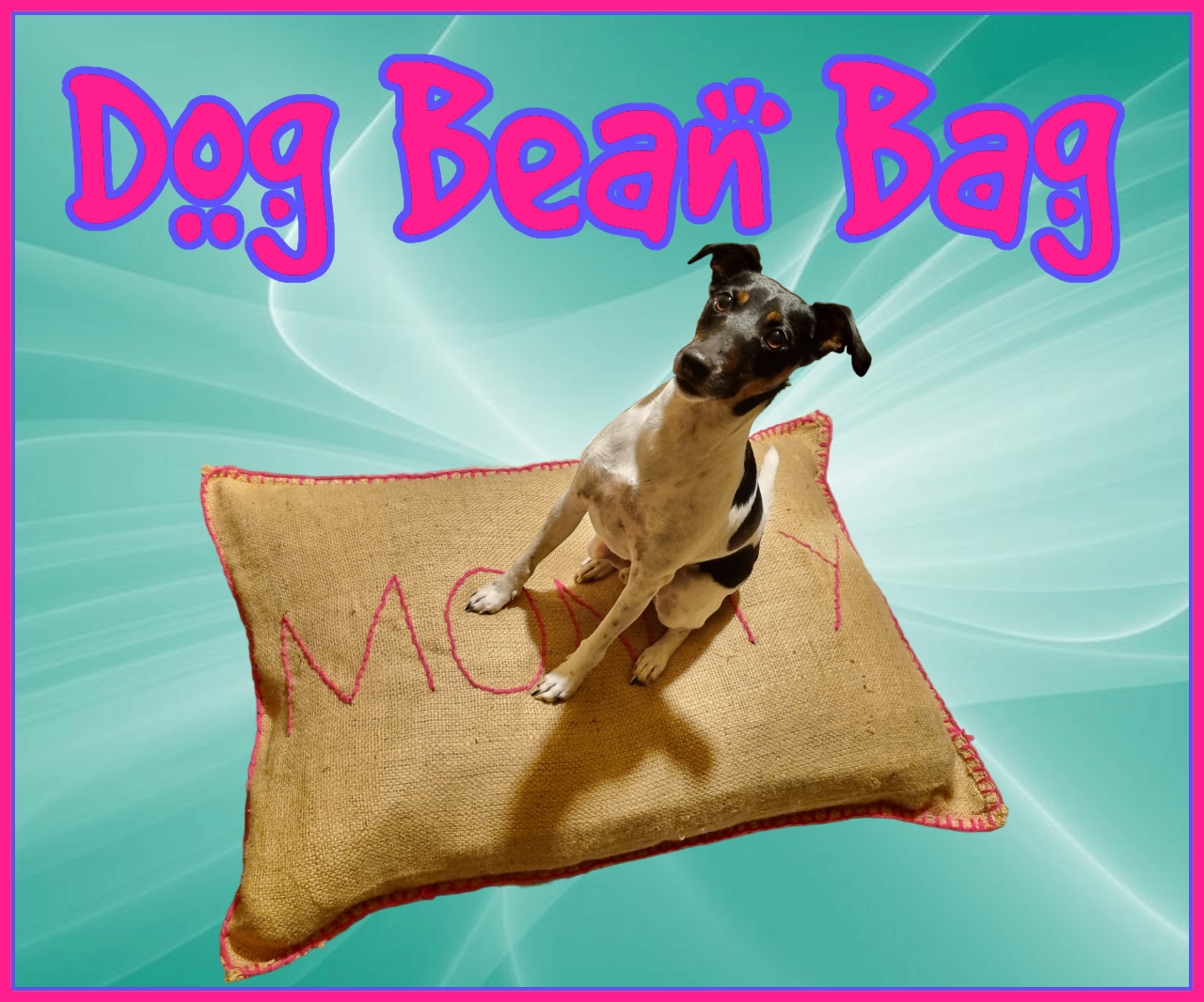 Dog Bean Bag.png