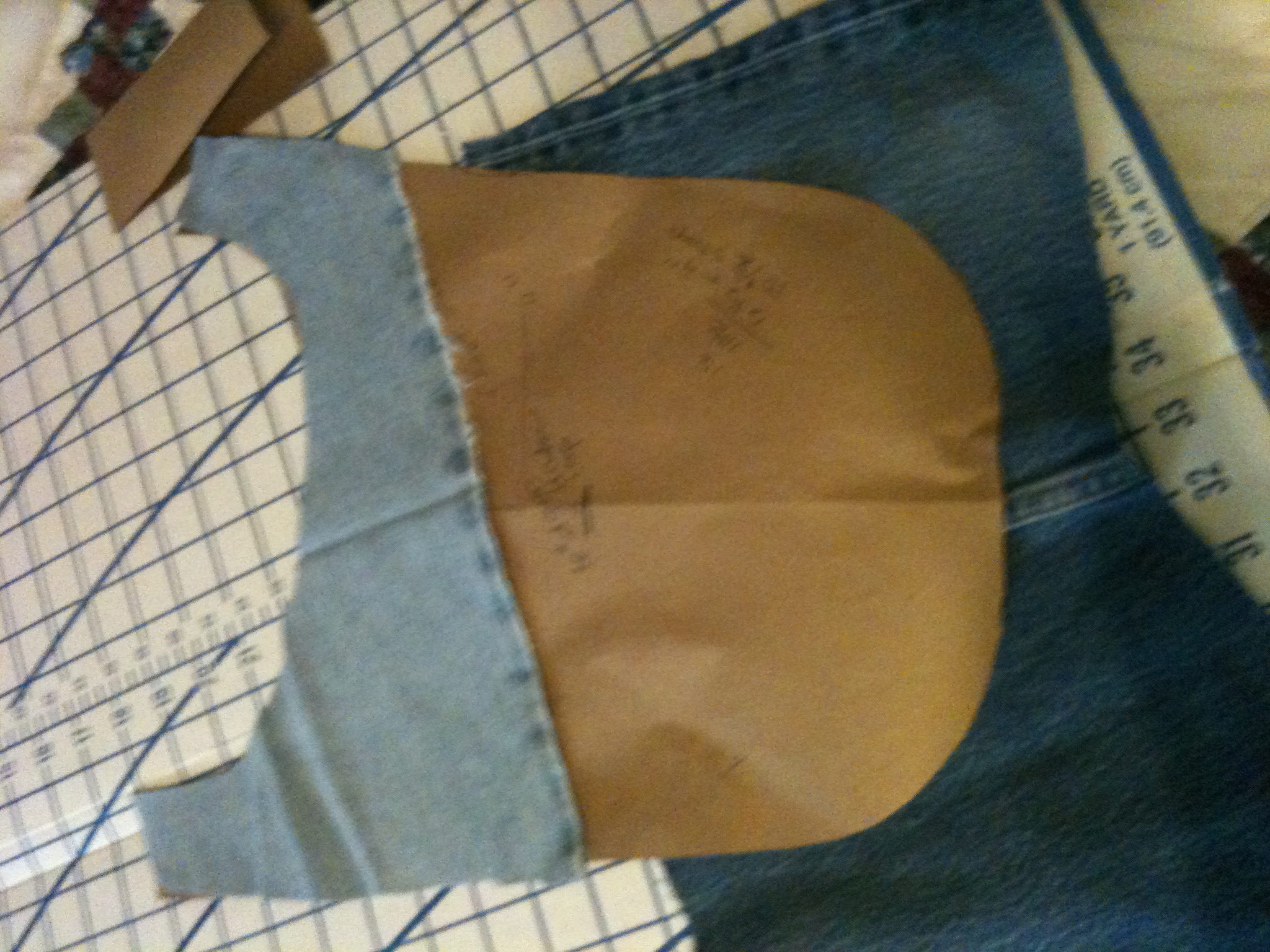 Dog Jacket  add the lining0118.JPG