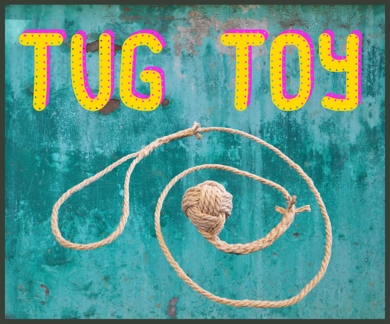 Dog Tug Toy.png