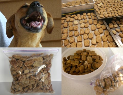 Doggie Buscuits2.jpg