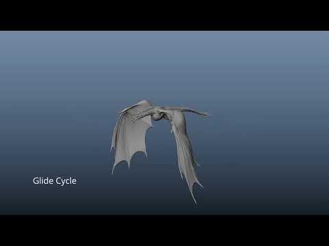 Dragon Project, Flight Cycles