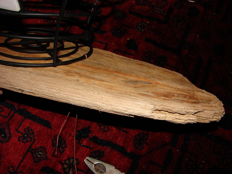 Driftwood0602.JPG