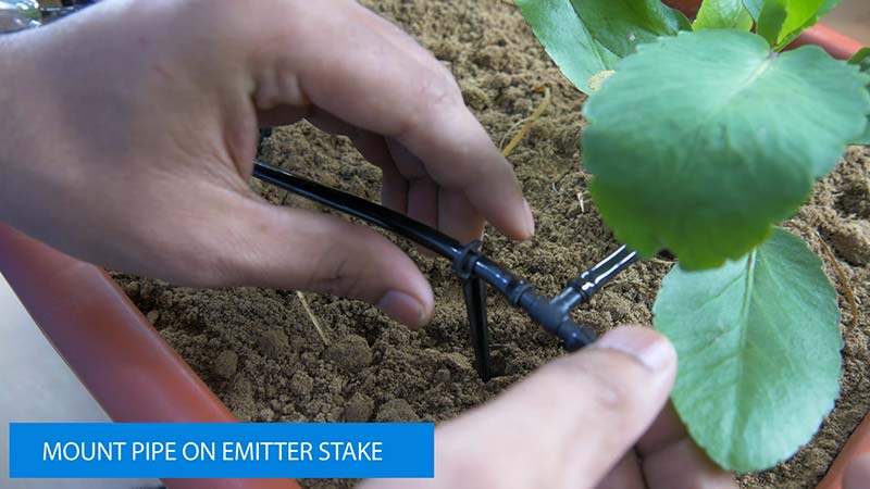 Drip Irrigation System DIY Mounting Emitter Stake.jpg