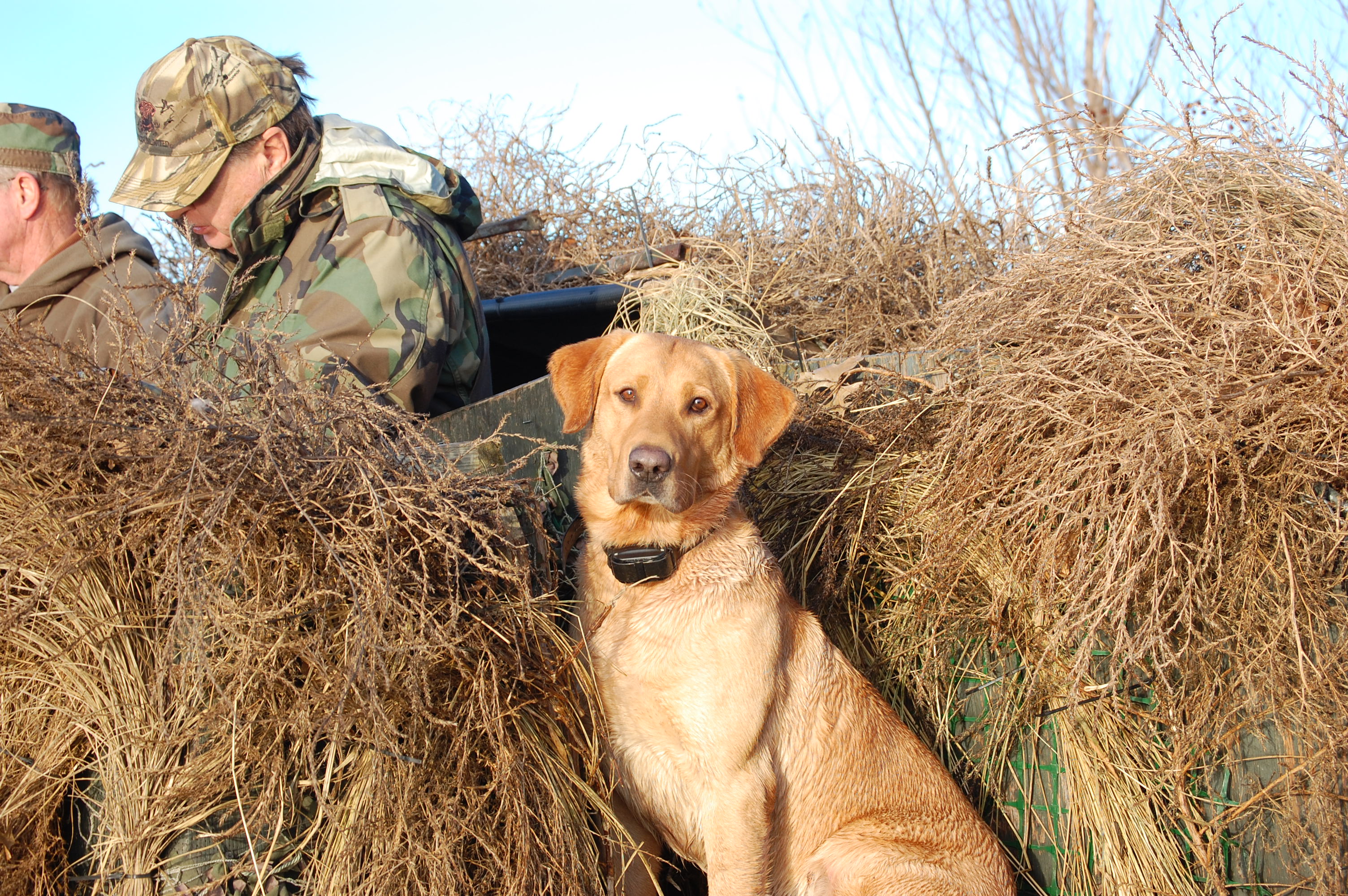 Duck hunts &amp; Arkansas 015.jpg