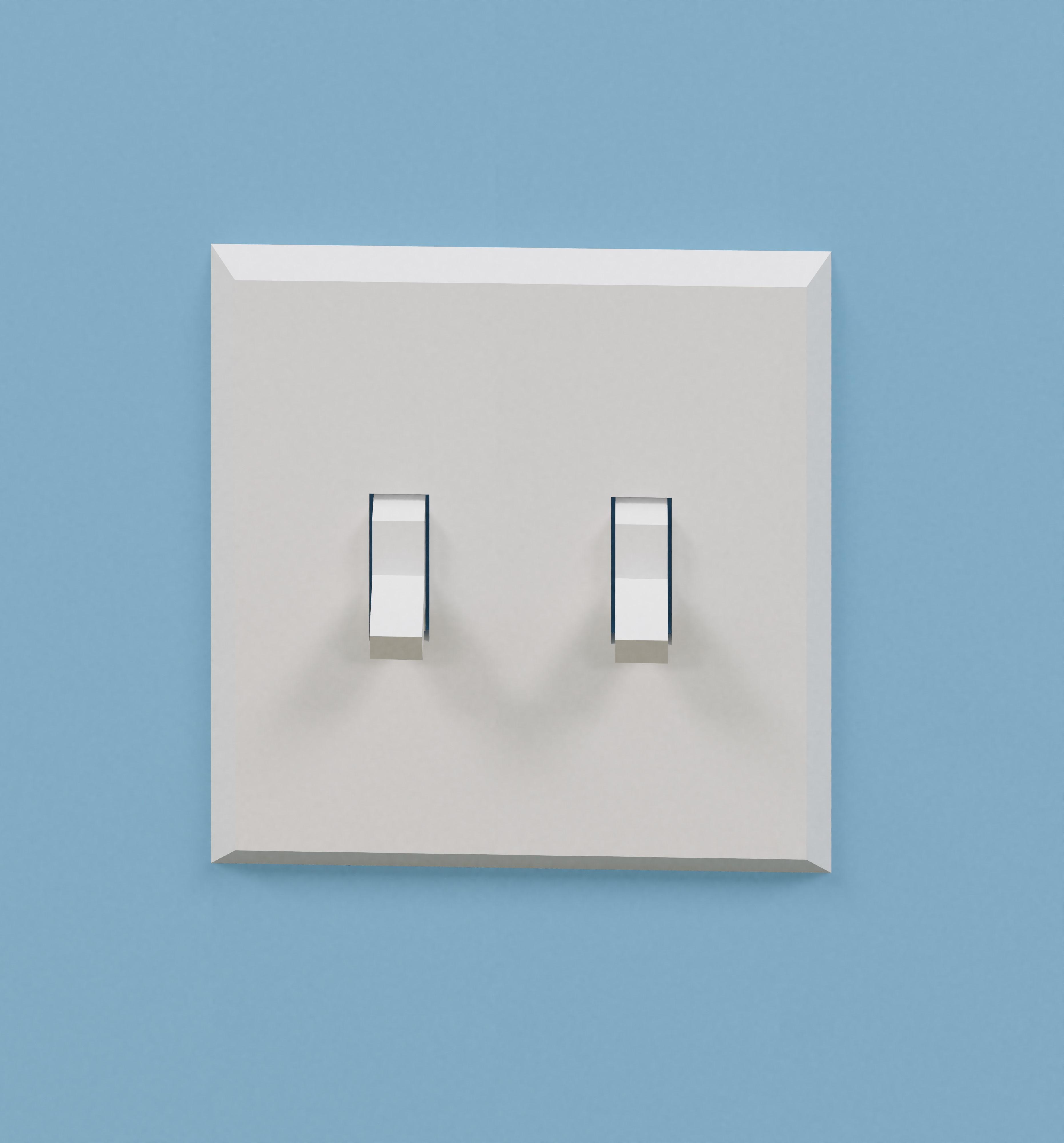 Duplex swtich.jpg