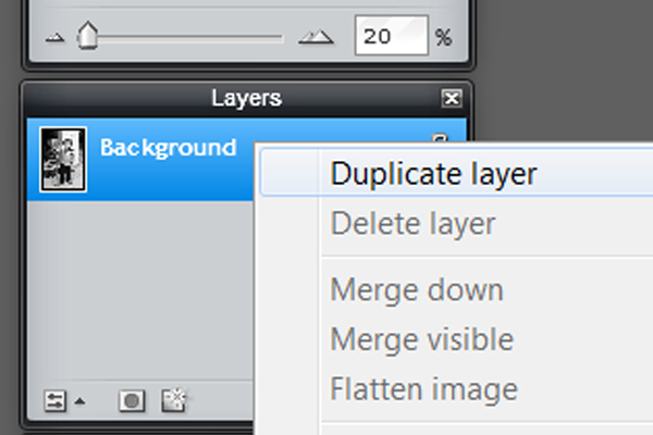 Duplicate Layer.jpg