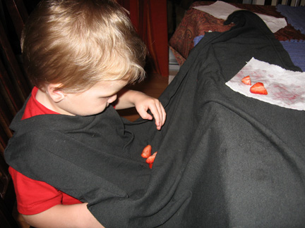 E:\instructable images\Bibblecloth being put to use 2.jpg