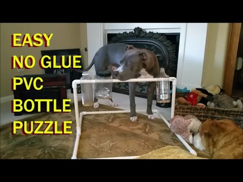 EASY NO GLUE PVC DOG BOTTLE PUZZLE