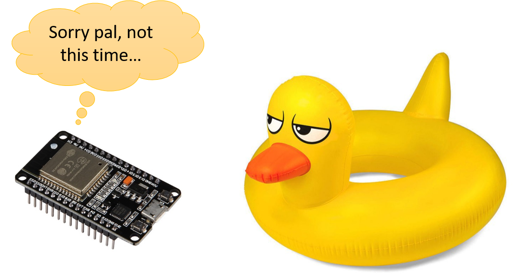 ESP duck.png