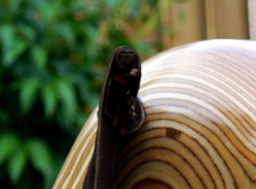 Ear wrap.jpg