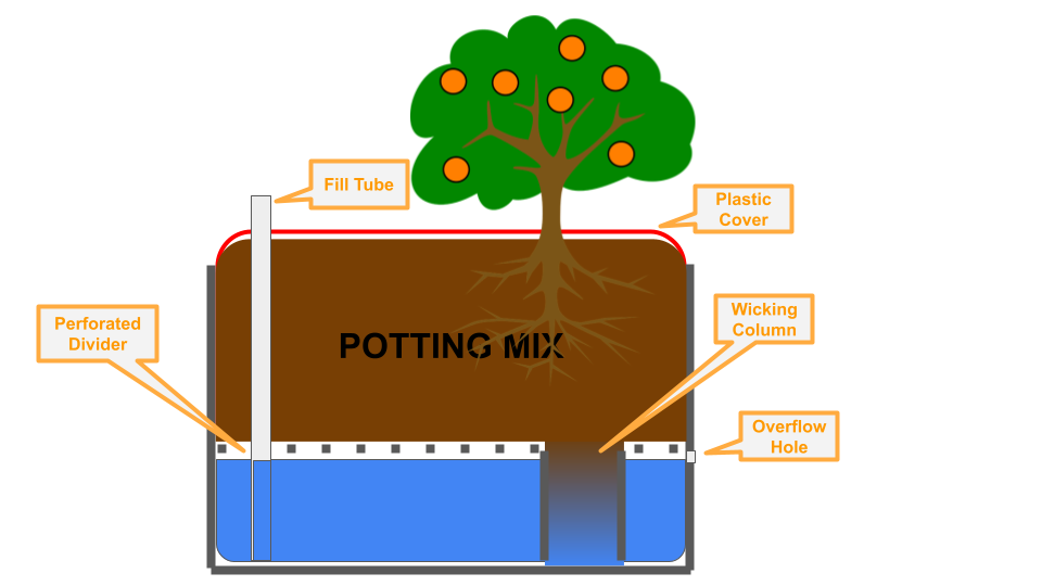 EarthBox (2).png