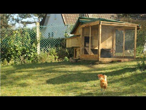 Easy Pallet Wood Chicken Coop Hen House. Gallinero de f&aacute;cil construcci&oacute;n Poulailler brico Week-end