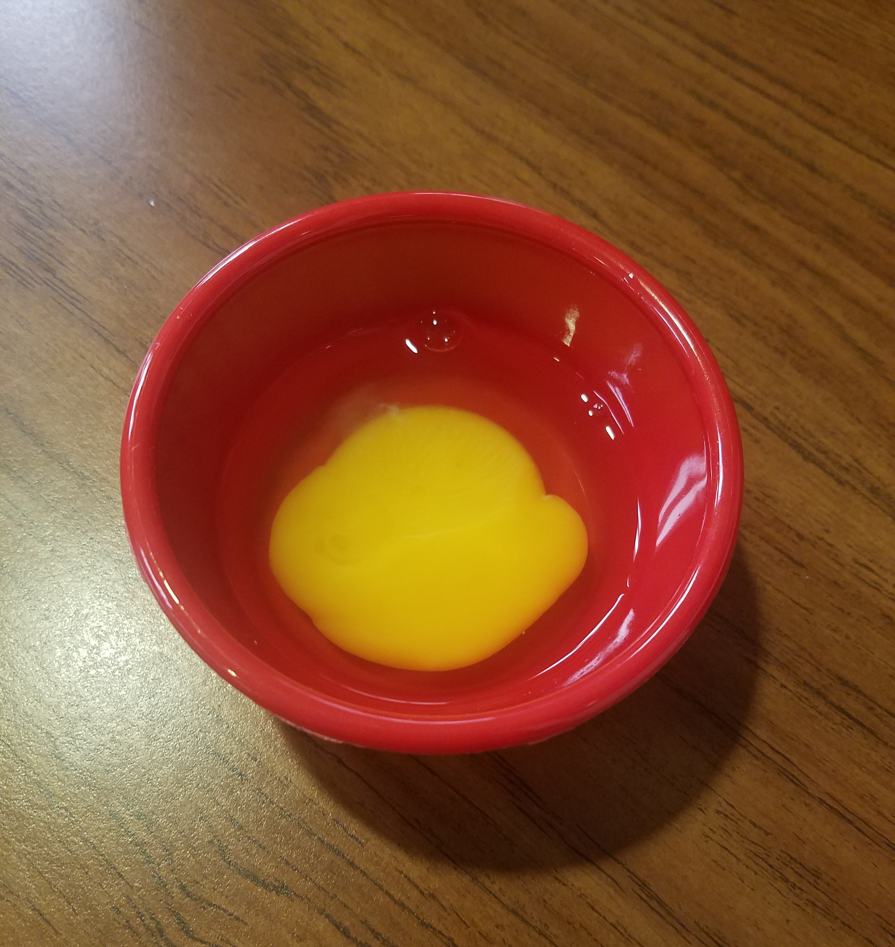 Egg 1.jpg