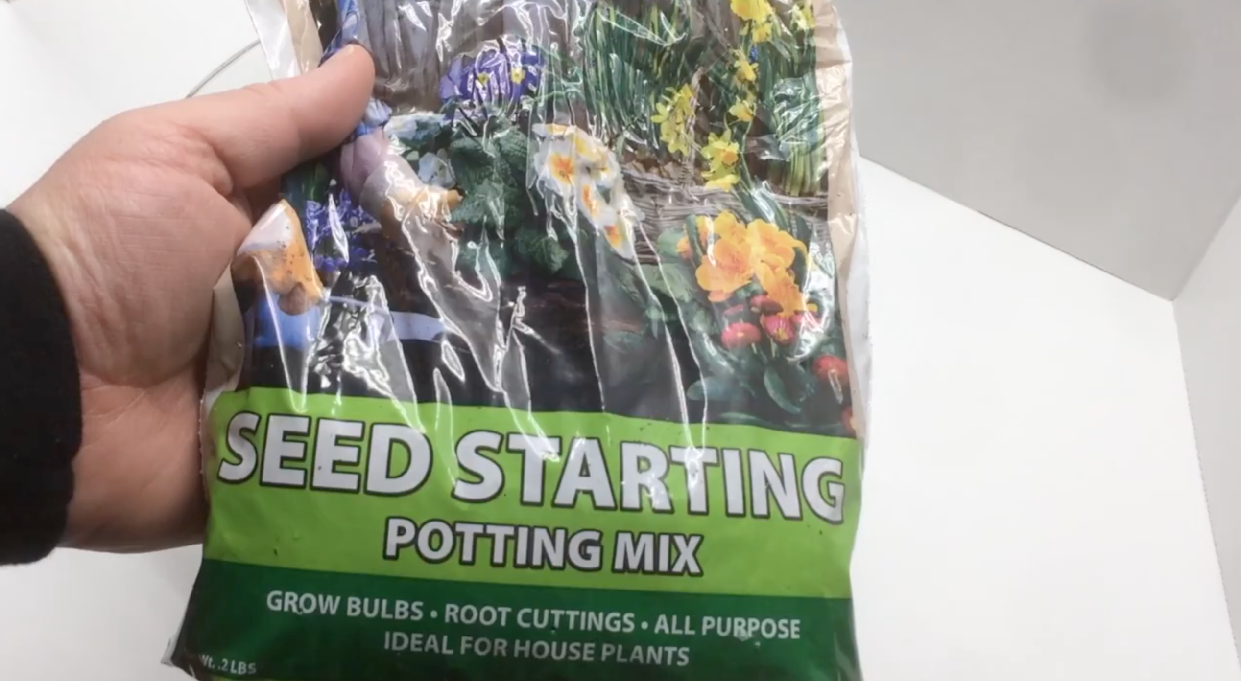 Egg Carton Seed Starting 07.png