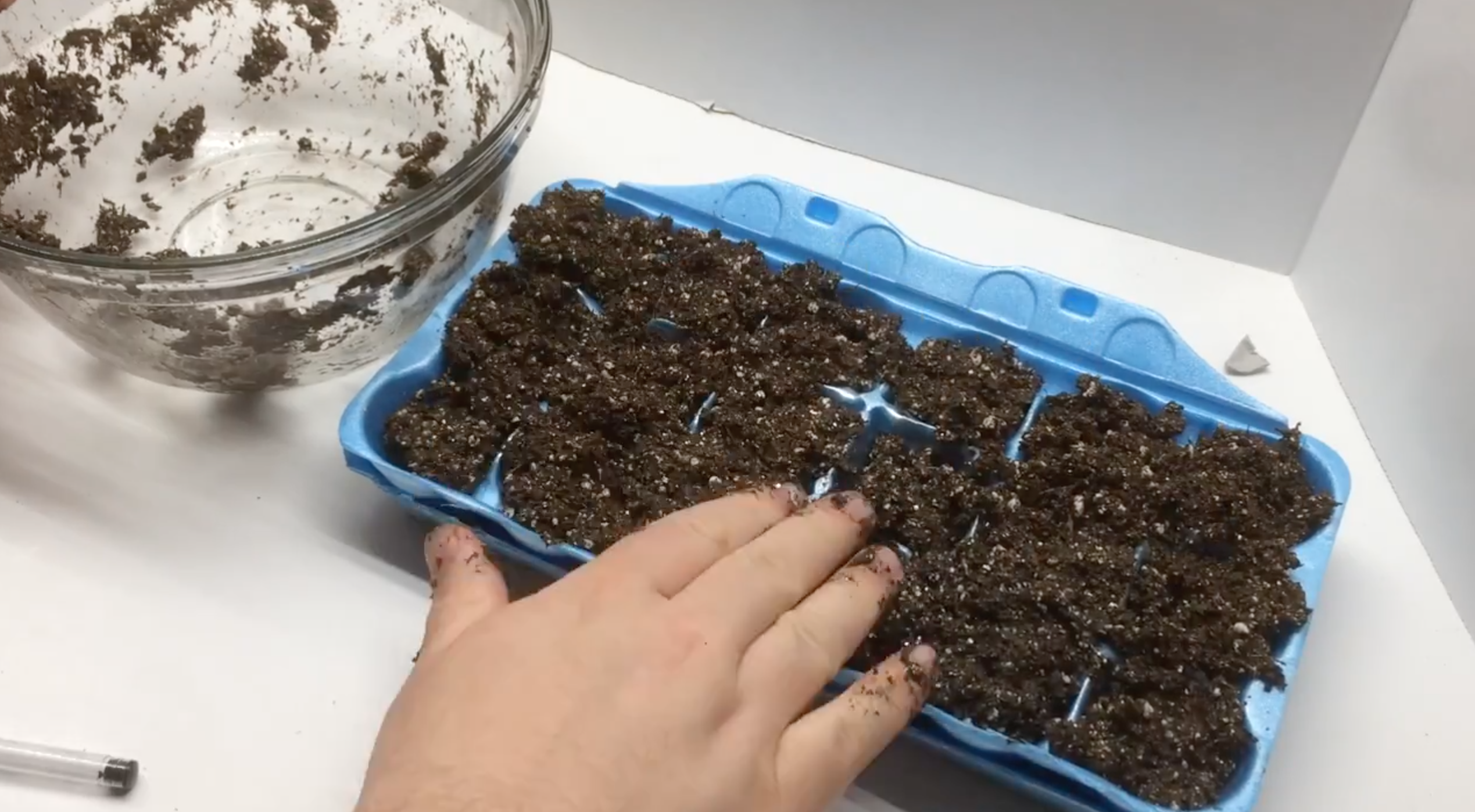 Egg Carton Seed Starting 08.png