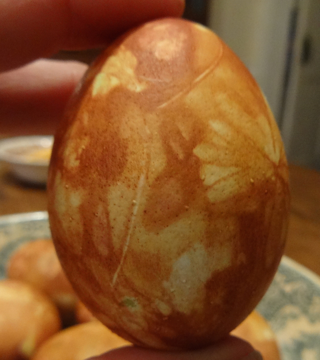 Egg Detail Lots of Contrast-Dutch Dying Eggs 4-15-14.JPG