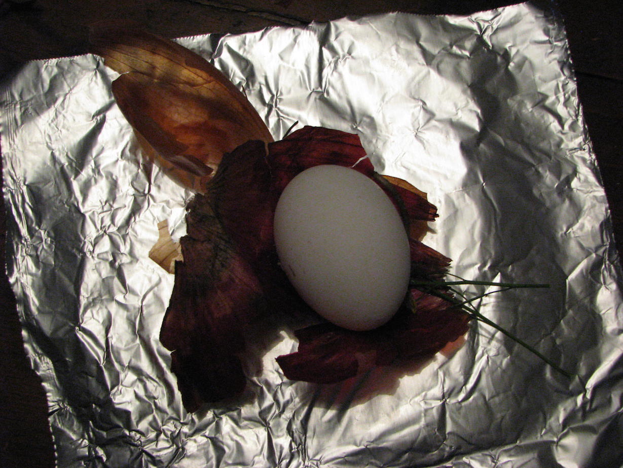 Egg on 1st Layer of Skin and Flowers-Dutch Dying Eggs 4-15-14.JPG