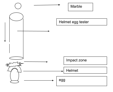 Egg testing 1.png