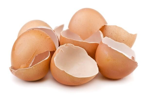 Egg-shell-powder-a-novel-treatment-against-inflammatory-bowel-disease.jpg