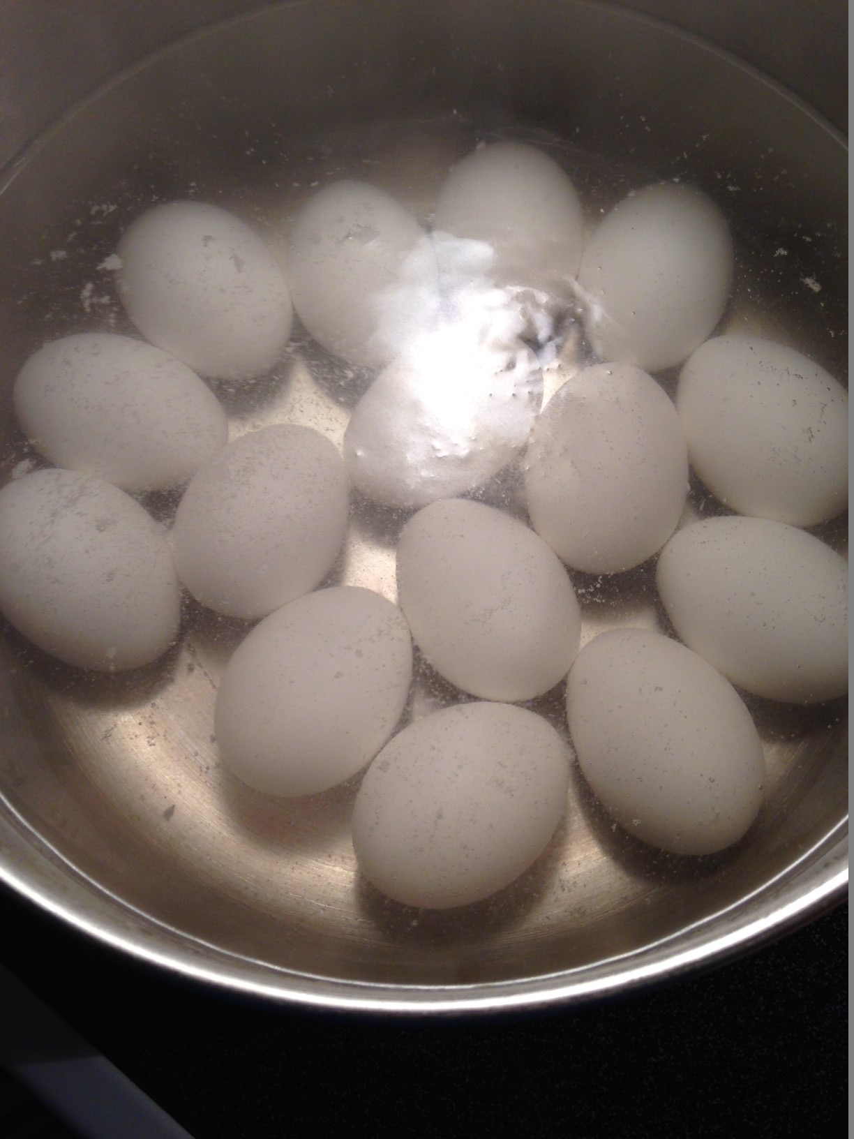 Eggs in Water.jpeg