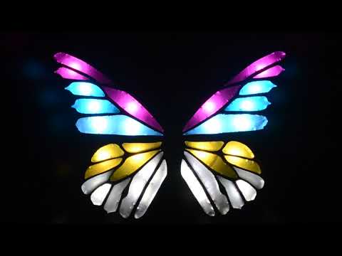 Electric Butterfly