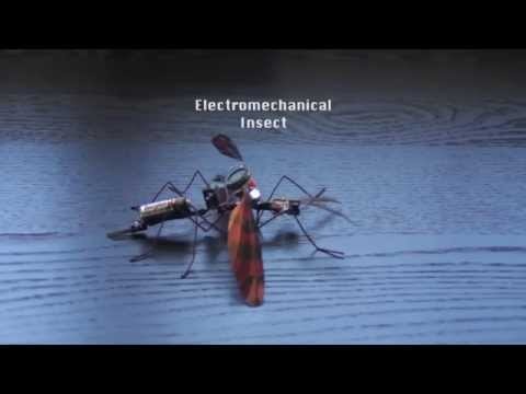 Electromechanical Insect