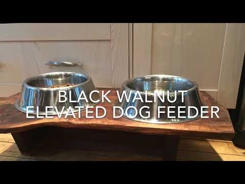 Elevated Dog Food Station