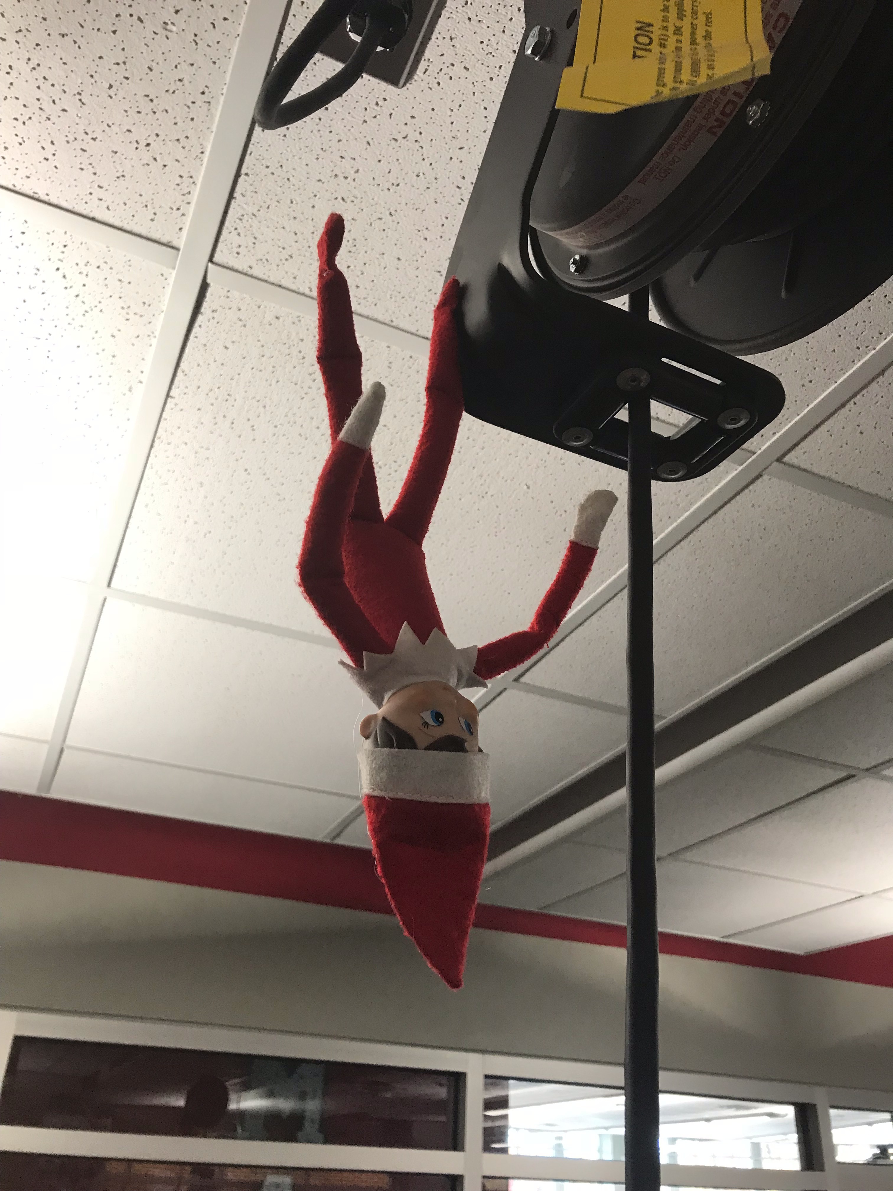 Elf Shelf34.jpg