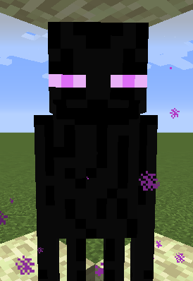 Enderman Trap Pic.png