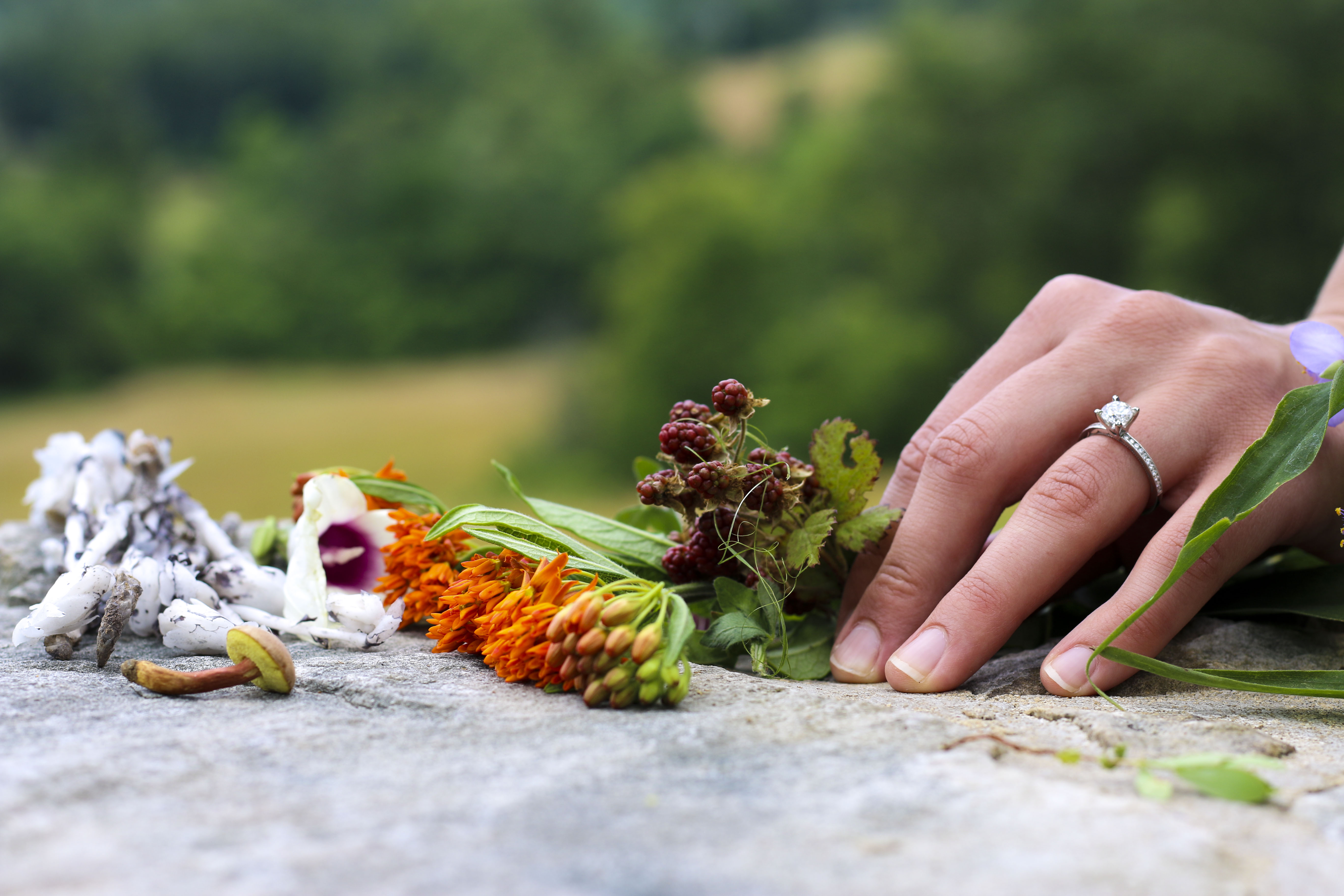 Engagement_foraging_ringshot.JPG